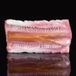 🐶 Dual-Hole Wild Dog Vagina Masturbator, Fulfilling All Your Fantasies