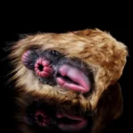 🐫 Camel Pussy Masturbator – Furry Animal Pocket Pussy with Dual Holes for Men
