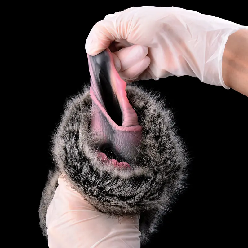 🐶 Furry Canine Shape Pussy Pocket: The Ultimate Male Masturbator for Dog-Styled Sexual Fantasies