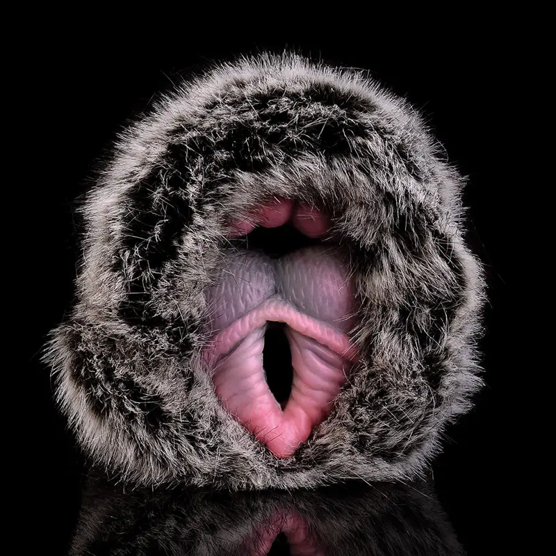 🐶 Furry Canine Shape Pussy Pocket: The Ultimate Male Masturbator for Dog-Styled Sexual Fantasies