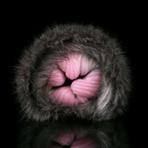😻 Purr-fect Pleasure: Realistic Black Cat Pussy Fleshlight Sex Toy – Unleash Your Wildest Feline Fantasies with Our Ultra-Lifelike Masturbator