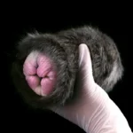 😻 Schnurr-fektes Vergnügen: Realistische Black Cat Pussy Fleshlight Sex Toy - Entfesseln Sie Ihre wildesten Feline Fantasien mit unserem Ultra-Lifelike Masturbator