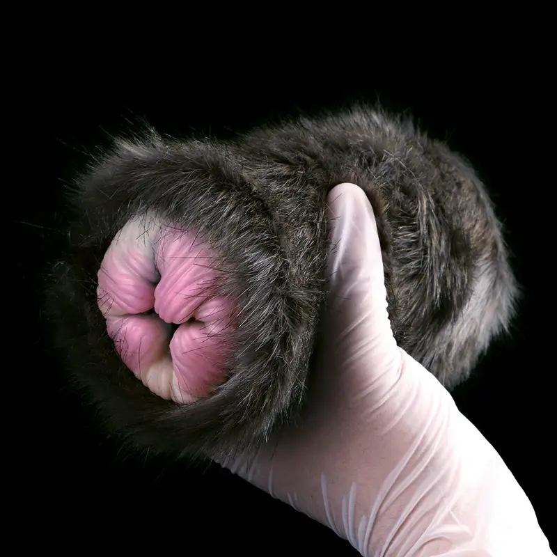 😻 Schnurr-fektes Vergnügen: Realistische Black Cat Pussy Fleshlight Sex Toy - Entfesseln Sie Ihre wildesten Feline Fantasien mit unserem Ultra-Lifelike Masturbator