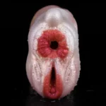 🐮 Cow Pussy Toys - Masturbateur anus et vagin en silicone pour hommes avec design réaliste