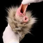 🫏 Donkey Pussy Fleshlight – Furry Fantasy Animal Pocket Pussy with Dual Holes for Men