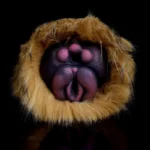 😻 Chat de poche en fourrure - Masturbateur animal fantastique pour hommes avec deux trous et fourrure réaliste