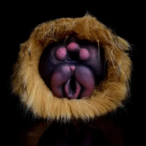😻 Furry Cat Pocket Pussy – Fantasy Animal Masturbator for Men with Dual Holes & Realistic Fur