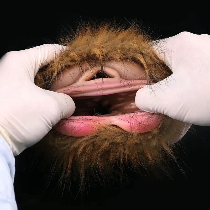 🐯 Furry Tiger Pocket Pussy: Unleash Your Wildest Animalistic Fantasies with This Realistic Tiger Vagina Masturbator