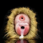 🦧 Gorilla Vagina Masturbator Cup - Furry Animal Pussy Sex Toy for Primal Penetration Fantasy