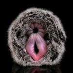 🐂 Realistic Bull Fleshlight with Fur: Experience Raw Bovine Power with Our Ultra-Lifelike Bull Vagina Masturbator