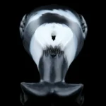 🐳 Leviathan's Embrace - Whale Pussy Fleshlight with Baleen Texture & Cetacean Suction