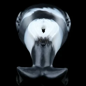 whale sex toy