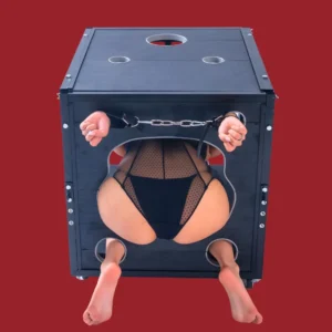 Steel Bondage Sex Cage - 70x60x63cm Lockable Dungeon for Pet Training