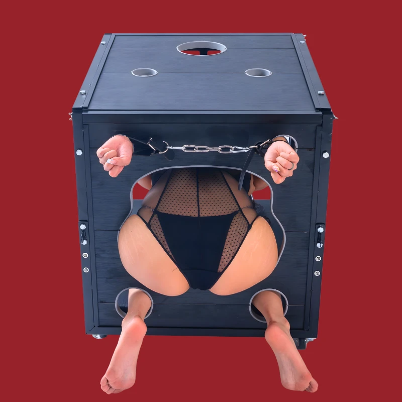 Steel Bondage Sex Cage - 70x60x63cm Lockable Dungeon for Pet Training