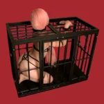Sex Dungeon Hundekäfig - 47x24x31.5in BDSM-Gefängnis für menschliche Haustiere & Femdom Training