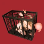 Sex Dungeon Hundekäfig - 47x24x31.5in BDSM-Gefängnis für menschliche Haustiere & Femdom Training
