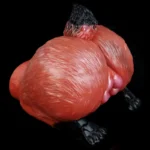 🦊 FurryDildo Fox Buttocks Sex Toy - Immerse in Your Furry Fantasy