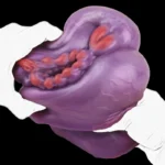 🐉  Bad Dragon Fleshlight | Dragon Sex Fantasy Male Masturbator