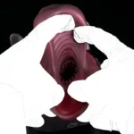 🦌 Deer Head Fleshlight - Realistic Deer Mouth Masturbator with Suction Base