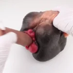 🐶 Alpha Bitch Fantasy Dog Pussy Sex Toy – Dominate Your Wildest Canine Desires with Ultra-Realistic Dog Fleshlight