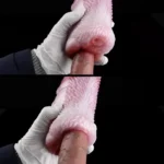 🐶 Canine Masturbator - Realistic Pregnant Dog Vagina Male Stroker with Dual-Hole Design
