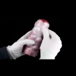 🐶 Canine Masturbator - Realistic Pregnant Dog Vagina Male Stroker with Dual-Hole Design