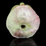 🐱 FurryDildo's Realistic Cat Pocket Pussy - Male Masturbator Designed for Cat Fantasies
