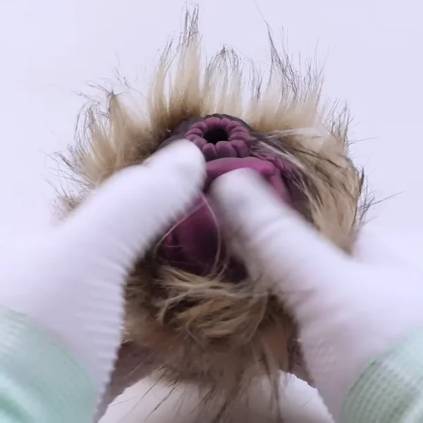 🐶 Realistic Dog Pussy Toy for Men - Furry Canine Masturbator with Lifelike Fur & Tight Tunnel
