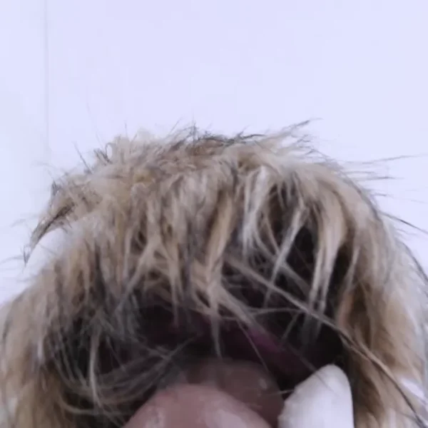 🐶 Realistic Dog Pussy Toy for Men - Furry Canine Masturbator with Lifelike Fur & Tight Tunnel