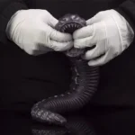 🐍 Snake Masturbator – 20-Inch Fantasy Snake Sex Toy with Lava Texture | Snake Silicone Fleshlight