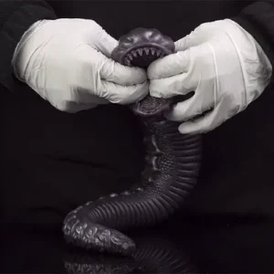 snake masturbator