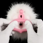 🐻❄️ Polar Bear Furry Fleshlight – Double Hole Bear Fleshlight Animal Pocket Pussy