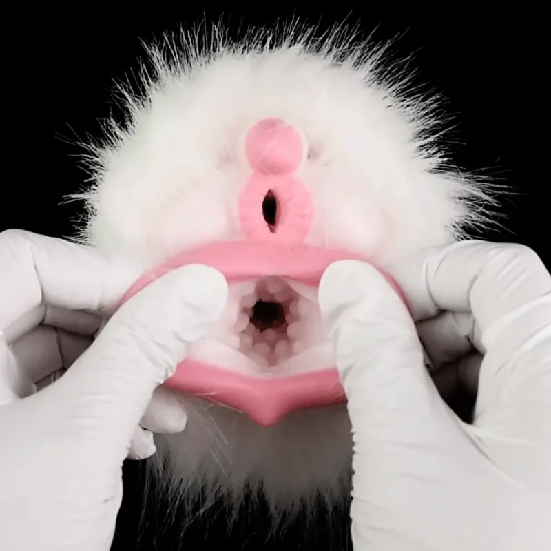 🐻❄️ Polar Bear Furry Fleshlight – Double Hole Bear Fleshlight Animal Pocket Pussy