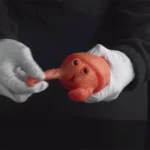 🦀 Crab Shaped Fleshlight – Cartoon Hermit Crab Pocket Stroker from Seabed Littles Series