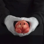 🦀 Crab Shaped Fleshlight – Cartoon Hermit Crab Pocket Stroker from Seabed Littles Series