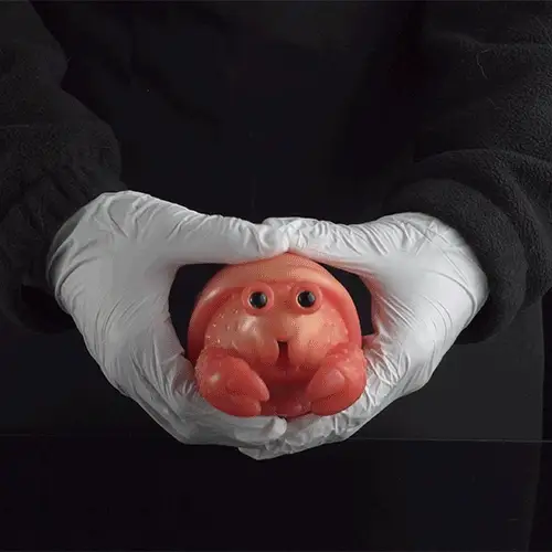 🦀 Crab Shaped Fleshlight – Cartoon Hermit Crab Pocket Stroker from Seabed Littles Series
