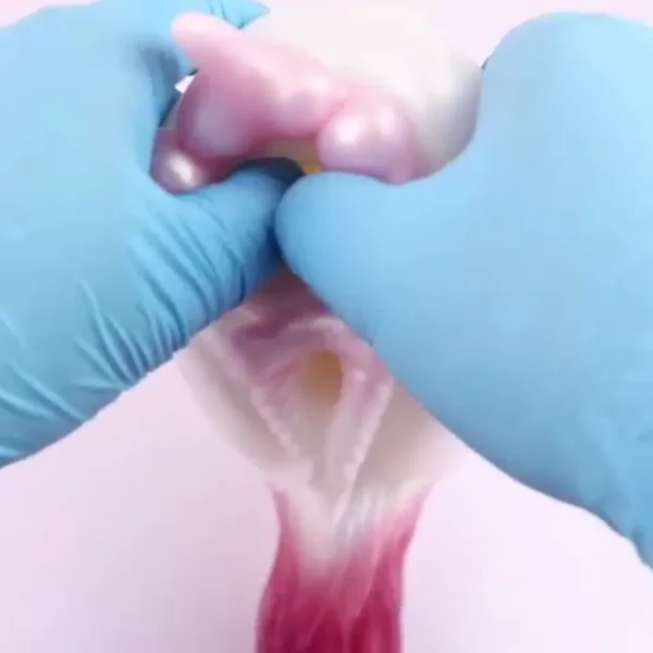 🐴 Female Horse Pussy Toy Sex - Rainbow Pocket Pussy Dual-Hole Masturbation Cup