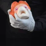 🐎 Furry Horse Mouth Masturbator – Fantasy Horse Head Fleshlight Blowjob Sex Toy